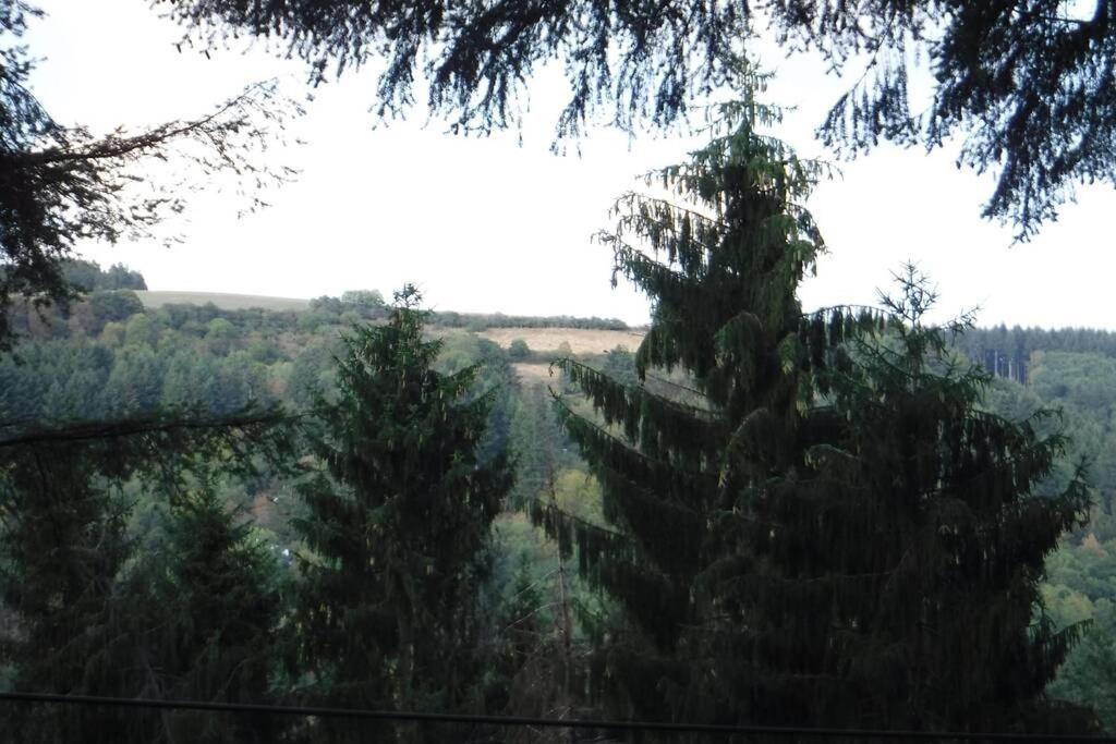 The Vianden Cottage - Charming Cottage In The Forest エクステリア 写真